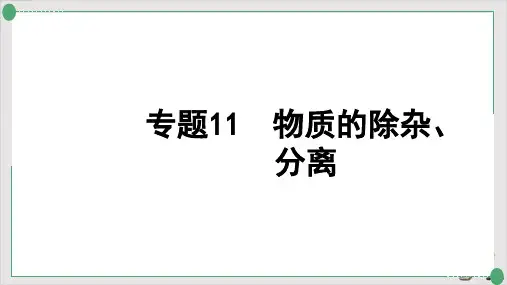 中考化学系统复习专题11物质的除杂、分离