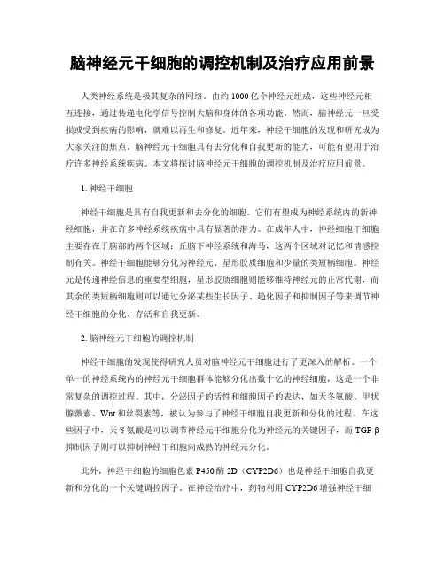 脑神经元干细胞的调控机制及治疗应用前景