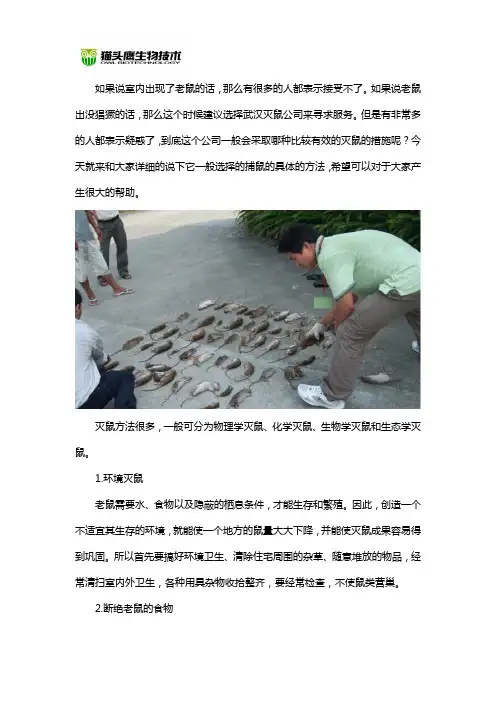 武汉地区有效灭鼠方法