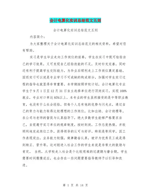 会计电算化实训总结范文五则