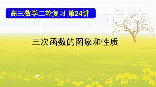 江苏省2020届高三数学二轮复习第24讲  三次函数的图象和性质 (共49张PPT)