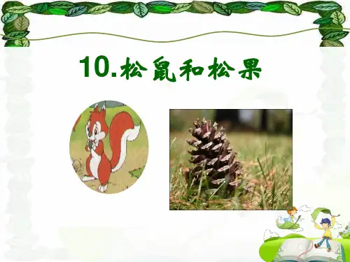 人教版语文一年级下册松鼠和松果PPT课件