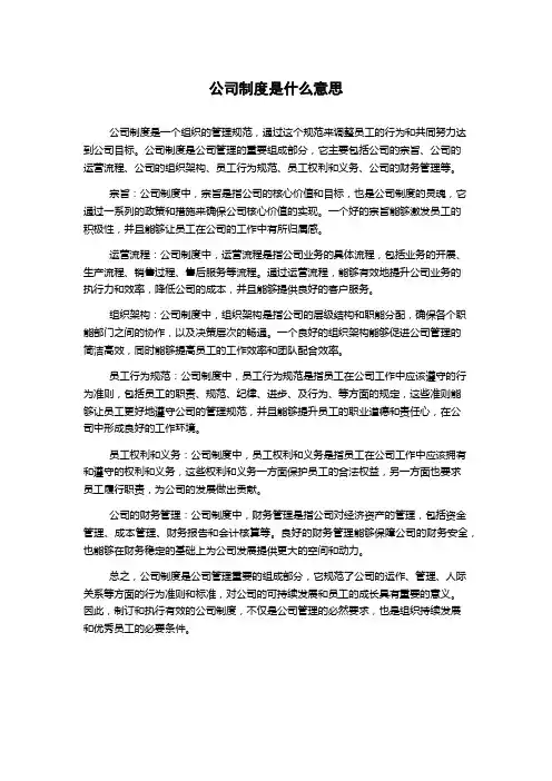 公司制度是什么意思