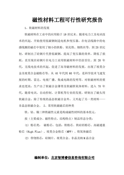 磁性材料项目可研性研究报告
