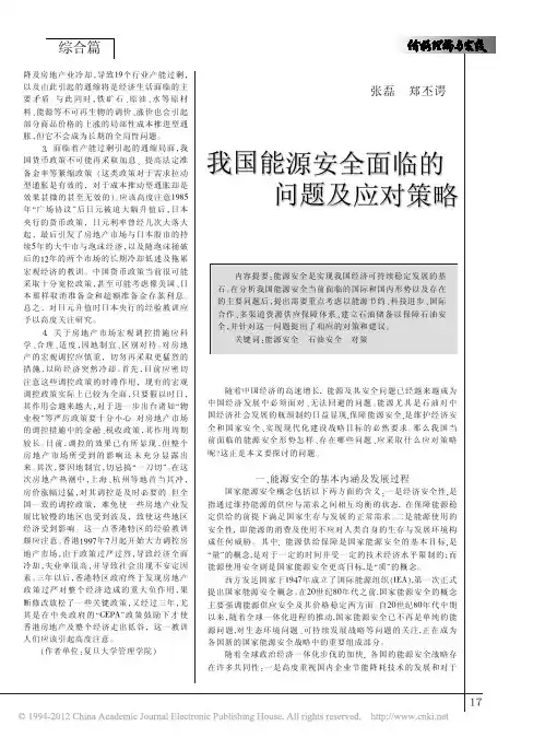 我国能源安全面临的问题及应对策略  细看