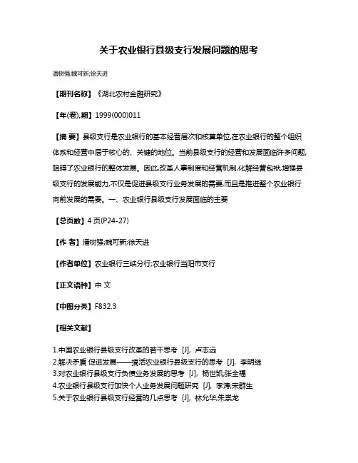 关于农业银行县级支行发展问题的思考