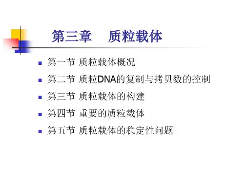 第三章质粒载体
