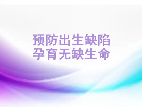 预防出生缺陷ppt课件