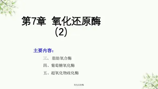 氧化还原酶课件