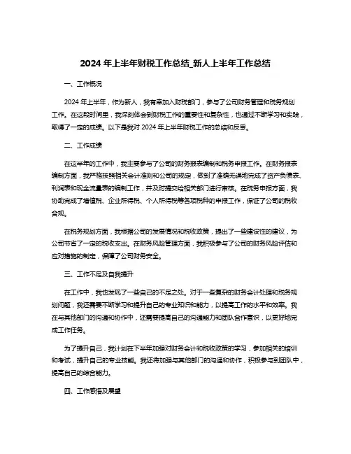 2024年上半年财税工作总结_新人上半年工作总结