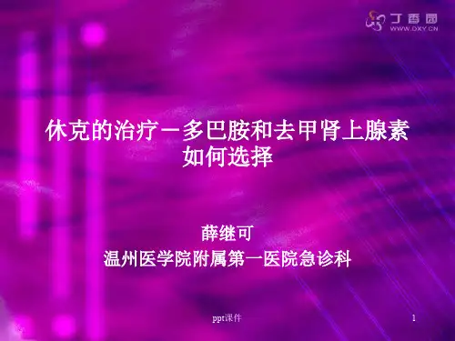 多巴胺和去甲肾上腺素  ppt课件