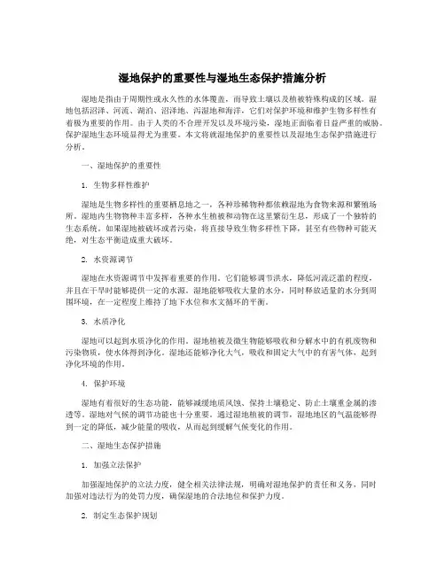 湿地保护的重要性与湿地生态保护措施分析