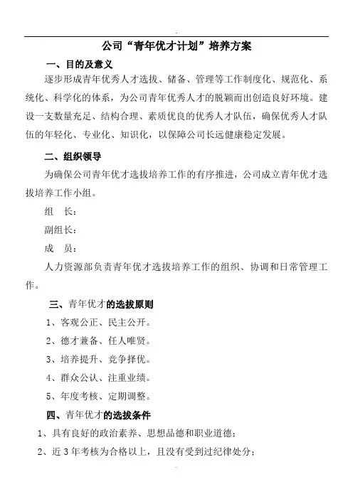 公司“青年优才计划”培养方案