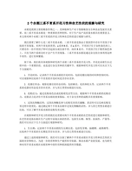 2个水稻三系不育系开花习性和农艺性状的观察与研究