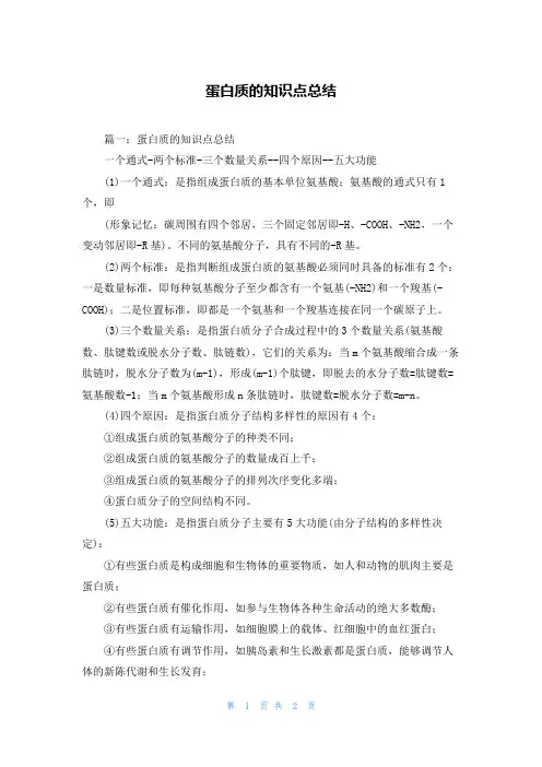 蛋白质的知识点总结