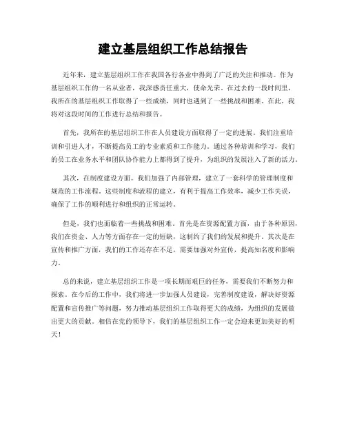 建立基层组织工作总结报告