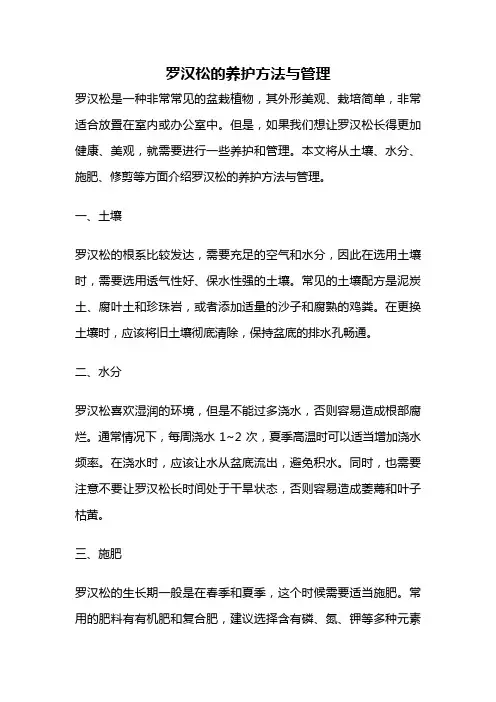 罗汉松的养护方法与管理