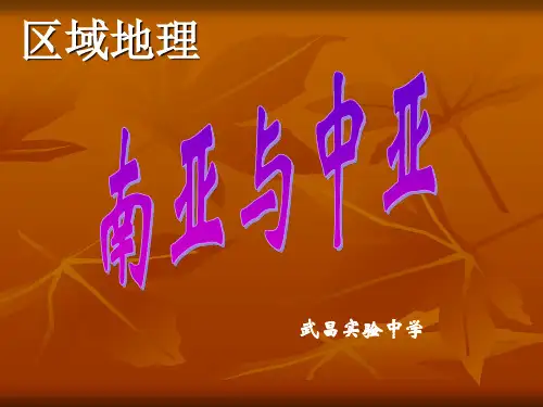 4)南亚与中亚课件zl