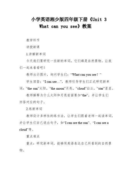 小学英语湘少版四年级下册《Unit 3 What can you see》教案