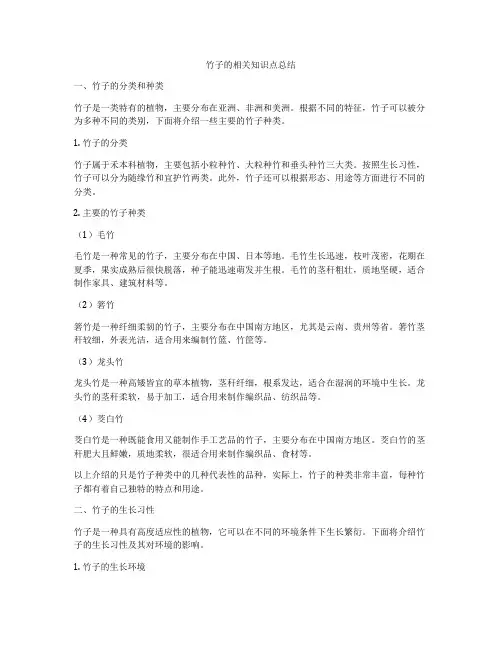 竹子的相关知识点总结