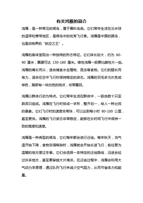 有关鸿雁的简介