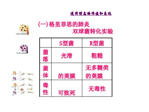 高中生物 遗传信息的传递和表达PPT课件