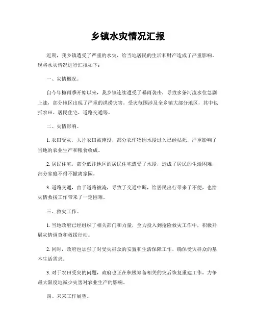 乡镇水灾情况汇报