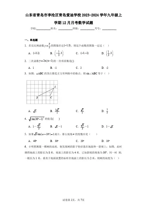 山东省青岛市李沧区青岛爱迪学校2023-2024学年九年级上学期12月月考数学试题