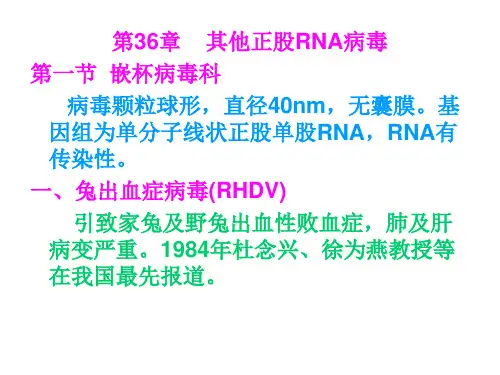 第36章 其他正链RNA病毒