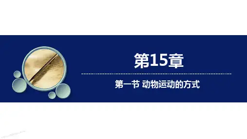 动物运动的方式ppt课件