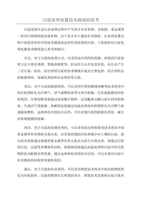 污泥处理处置技术路线的思考