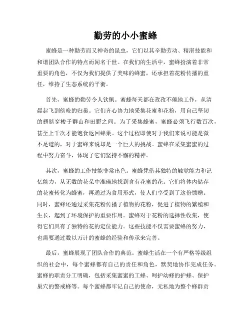 勤劳的小小蜜蜂