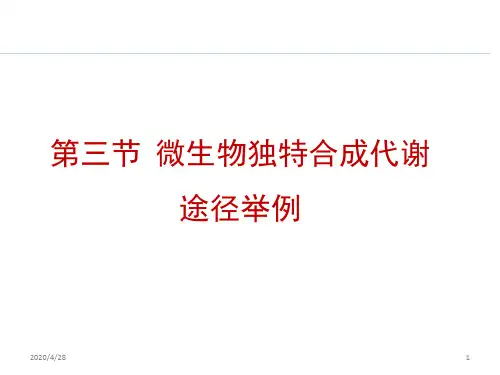 微生物的新陈代谢优秀PPT