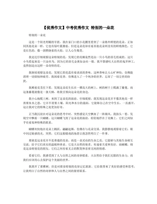 【优秀作文】中考优秀作文 特别的一朵花