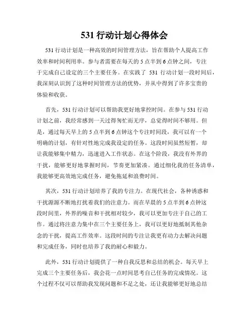 531行动计划心得体会
