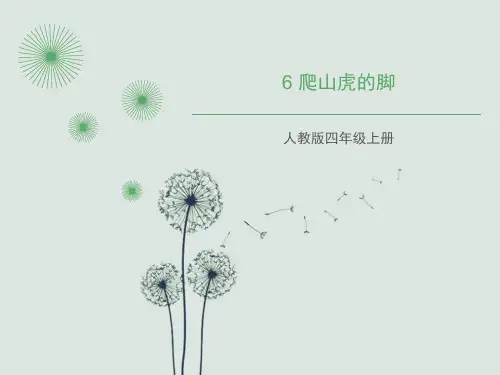 小学语文《爬山虎的脚》课件