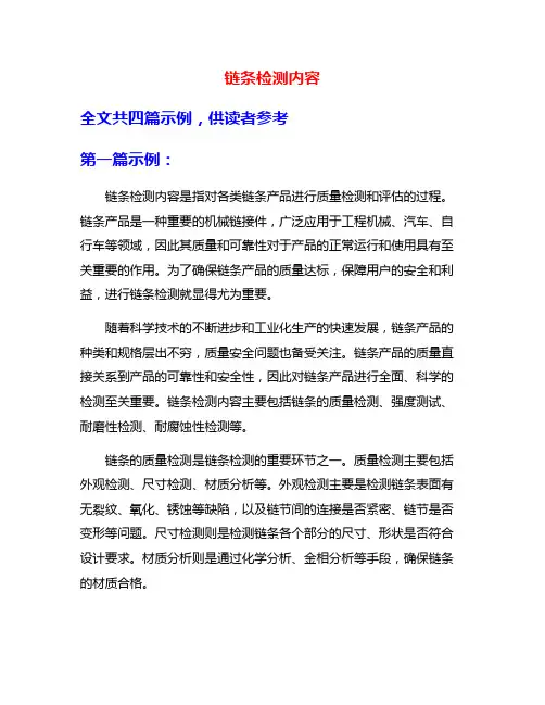 链条检测内容