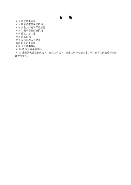 文化中心广场施工组织设计