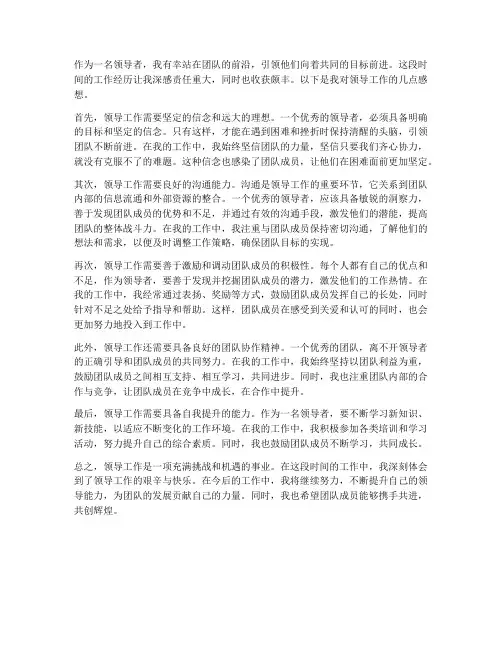 领导工作感想