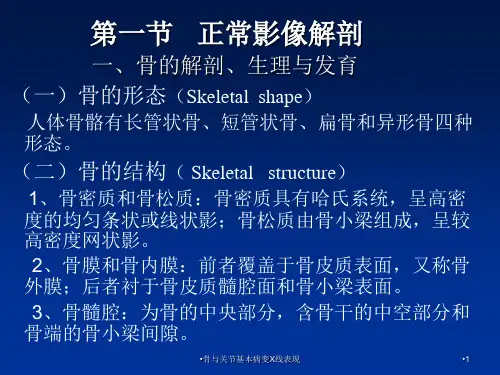 骨与关节基本病变X线表现课件