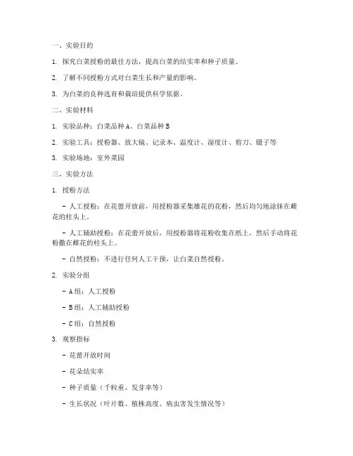 白菜授粉技术实验报告