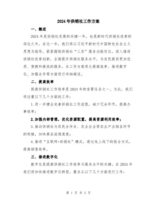 2024年供销社工作方案