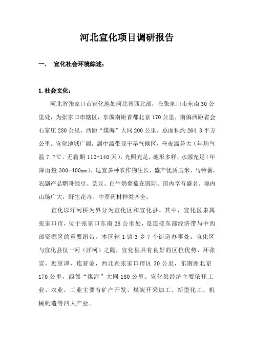 宣化项目分析报告汇编