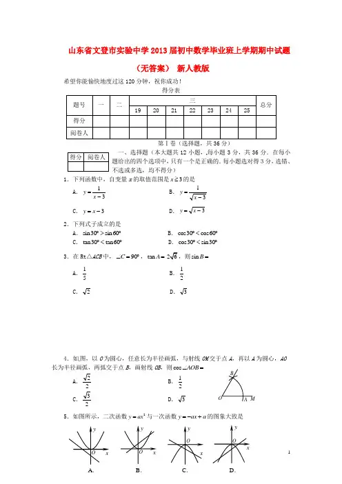 山东省文登市实验中学初中数学毕业班上学期期中试题(无答案) 新人教版