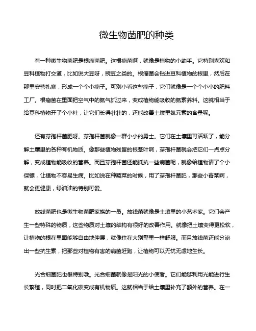微生物菌肥的种类