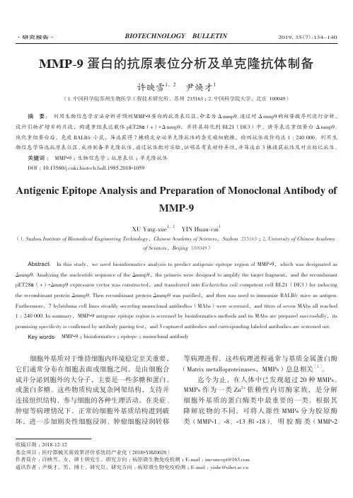 MMP-9蛋白的抗原表位分析及单克隆抗体制备