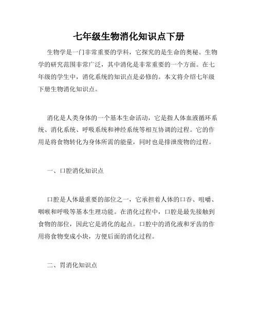 七年级生物消化知识点下册