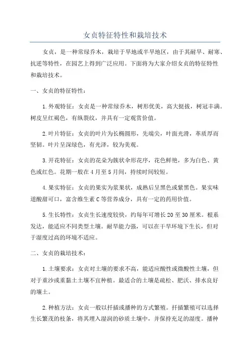 女贞特征特性和栽培技术