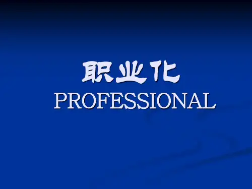 职业化
