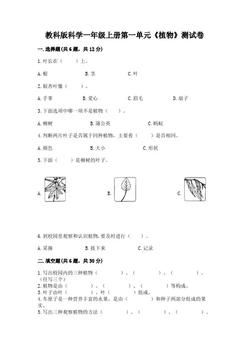 教科版科学一年级上册第一单元《植物》测试卷及参考答案【实用】